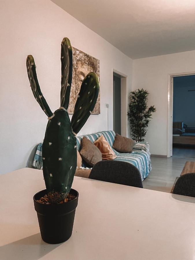 Cozy 3 Bedrooms Flat In Paceville Apartment