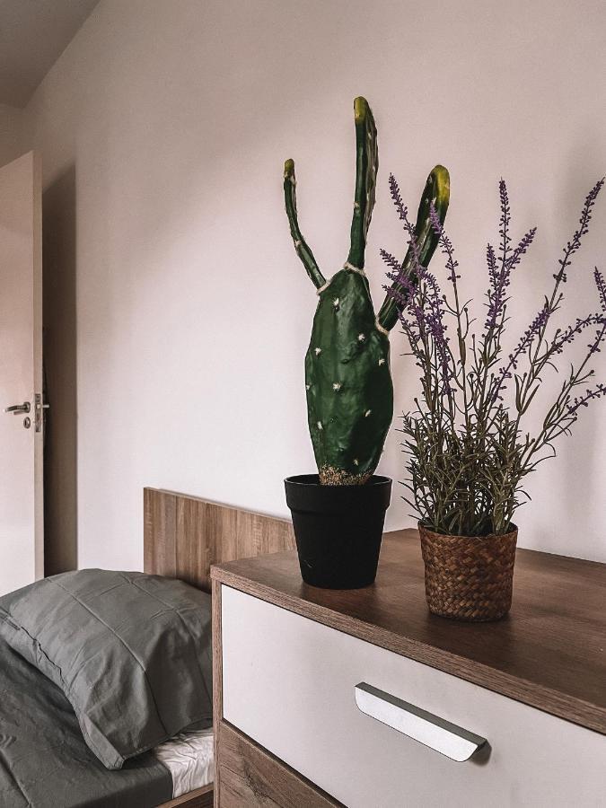 Appartamento Cozy 3 Bedrooms Flat In Paceville *